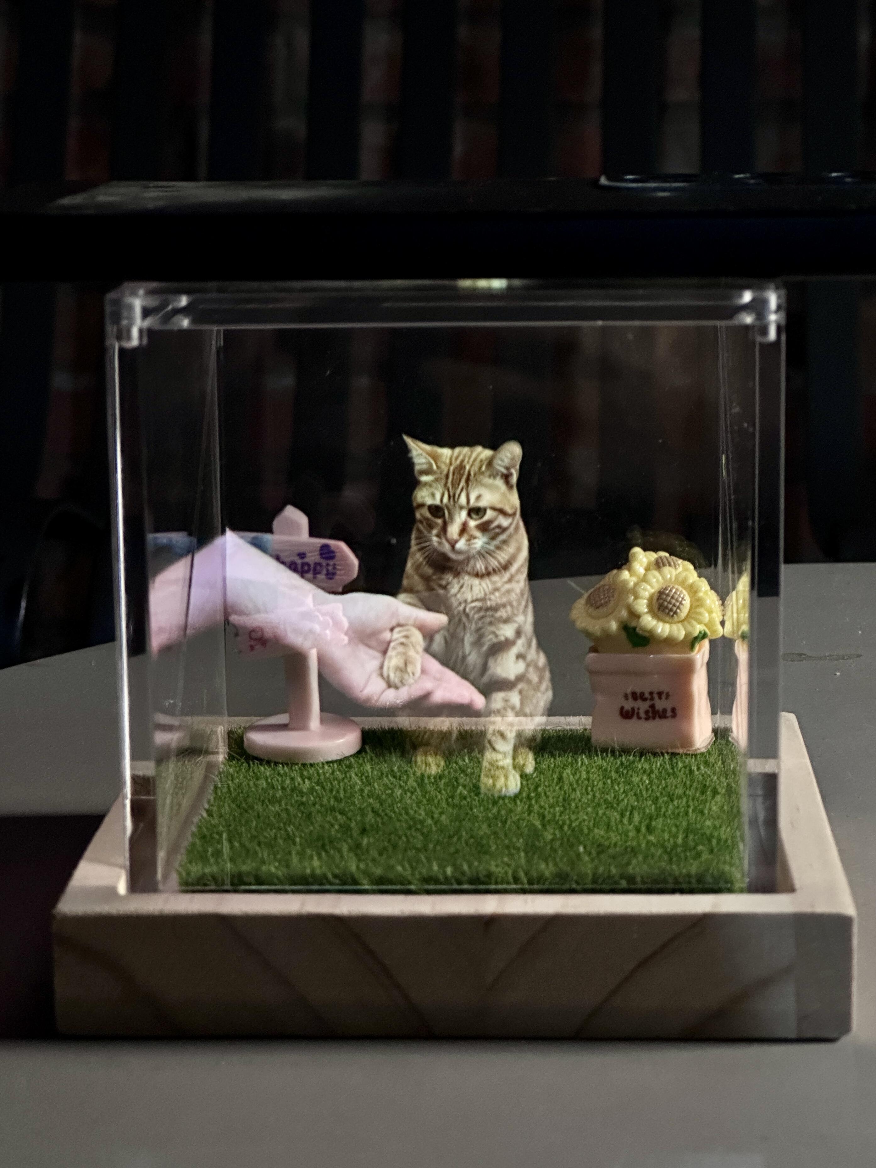"Mr Beebs Is Home" —  3D Hologram  Pet Memorial Keepsake