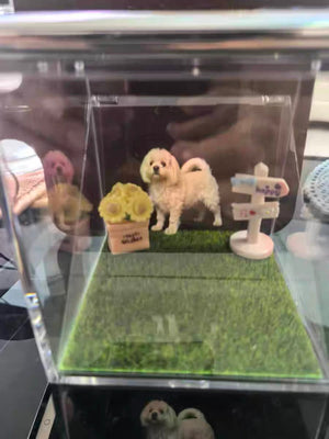 "Let's Bring Happi Home"  — Through 3D Memorial Hologram Box