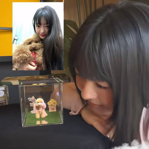 Let’s Welcome Pinka Home Again With Pet 3D Hologram Box!!