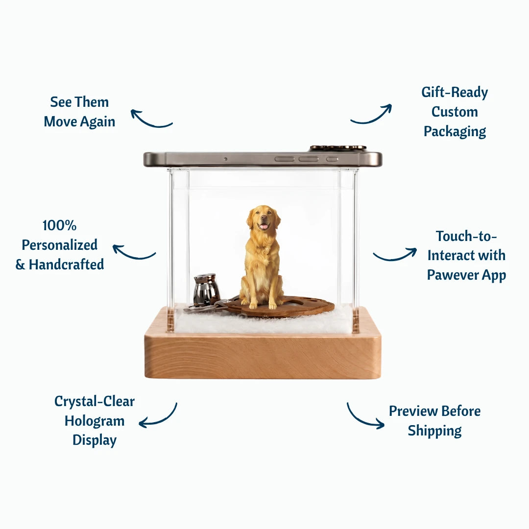Boîte Holographique Commémorative pour Animaux de Compagnie