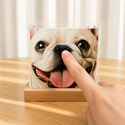 Pawever™ Crystal Box — Pet Hologram Box