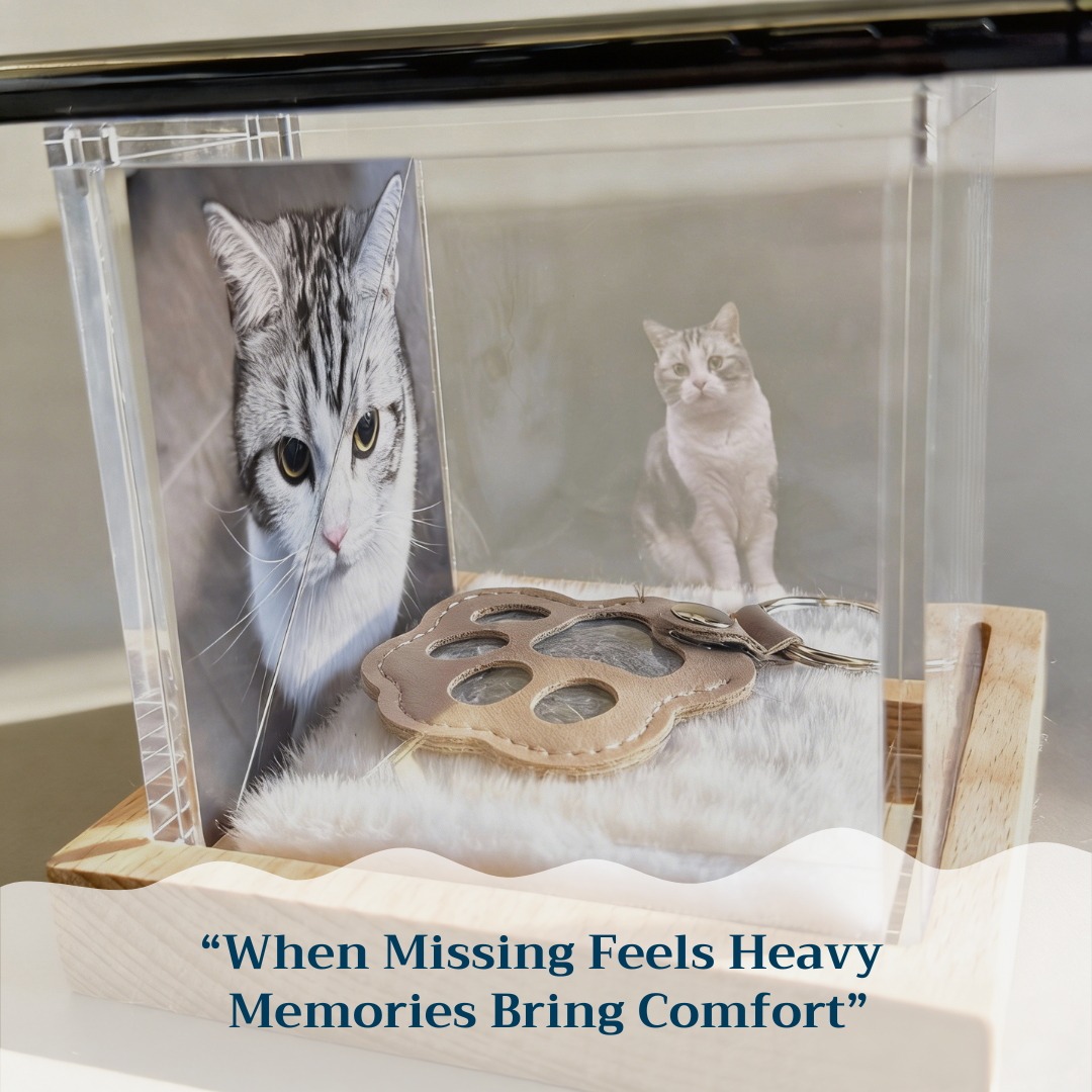 Interactive Pet Memorial Box with Hologram Projection