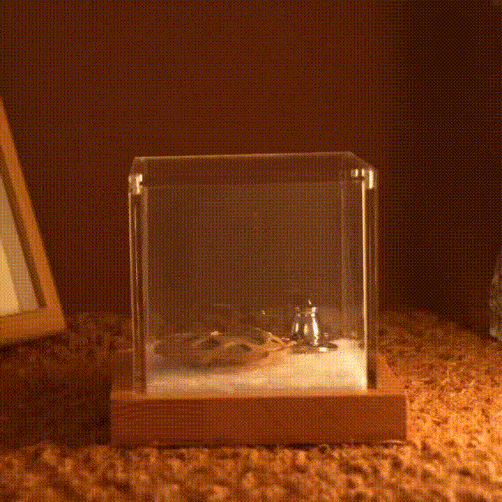 Pet Memorial Hologram Box