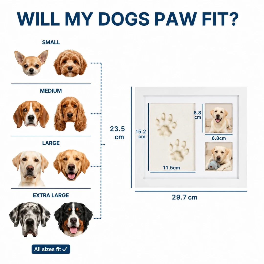 Pet Paw Print Clay Kit