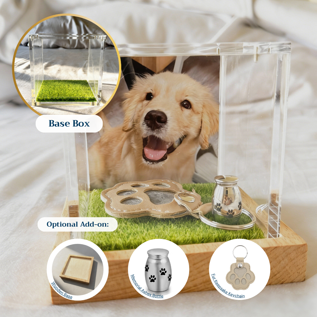 Interactive Pet Memorial Box with Hologram Projection