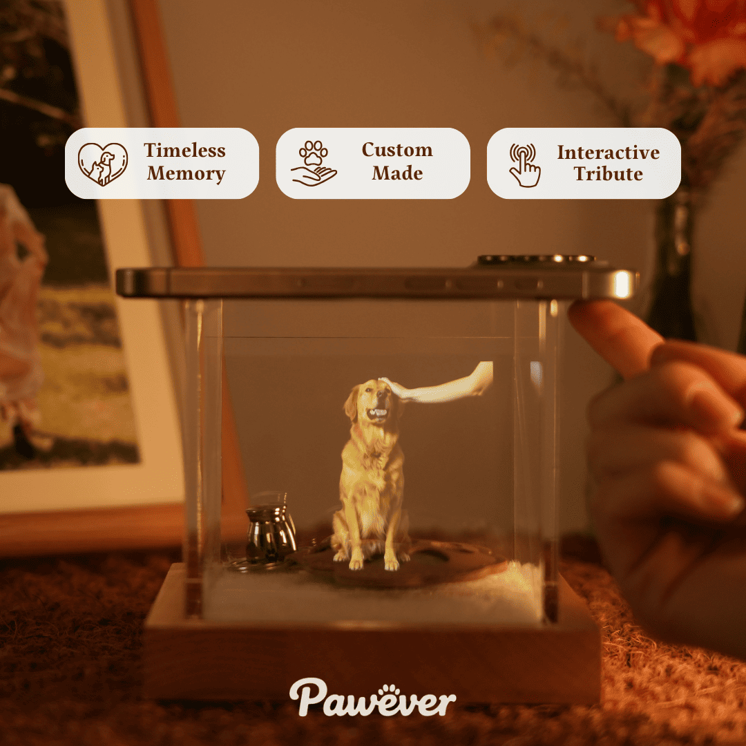 Pet Memorial Hologram Box