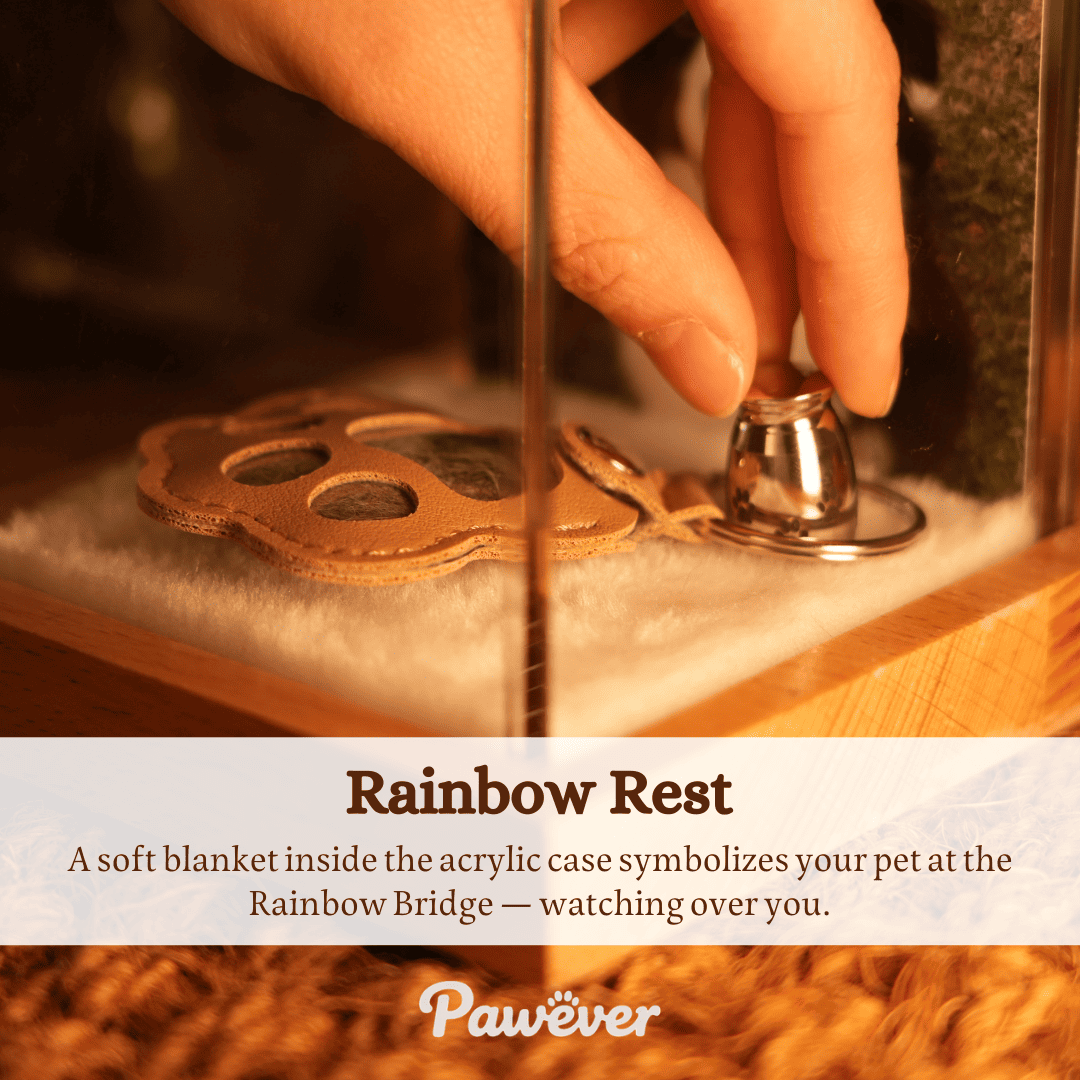 Pet Memorial Hologram Box
