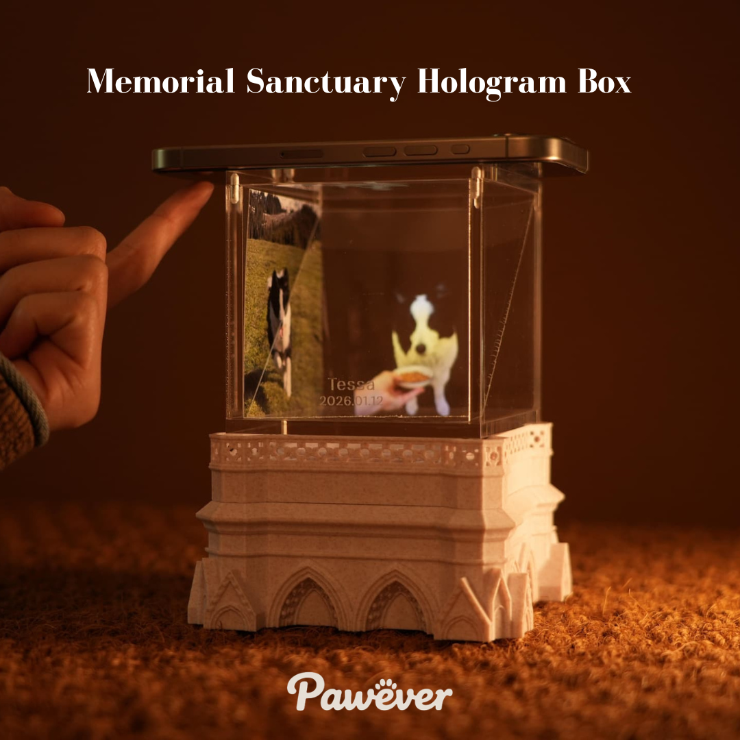 Memorial Sanctuary Hologram Box