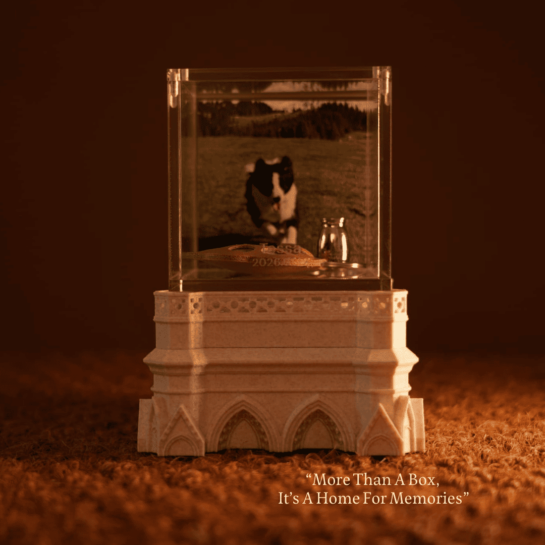 Pet Memorial Hologram Box