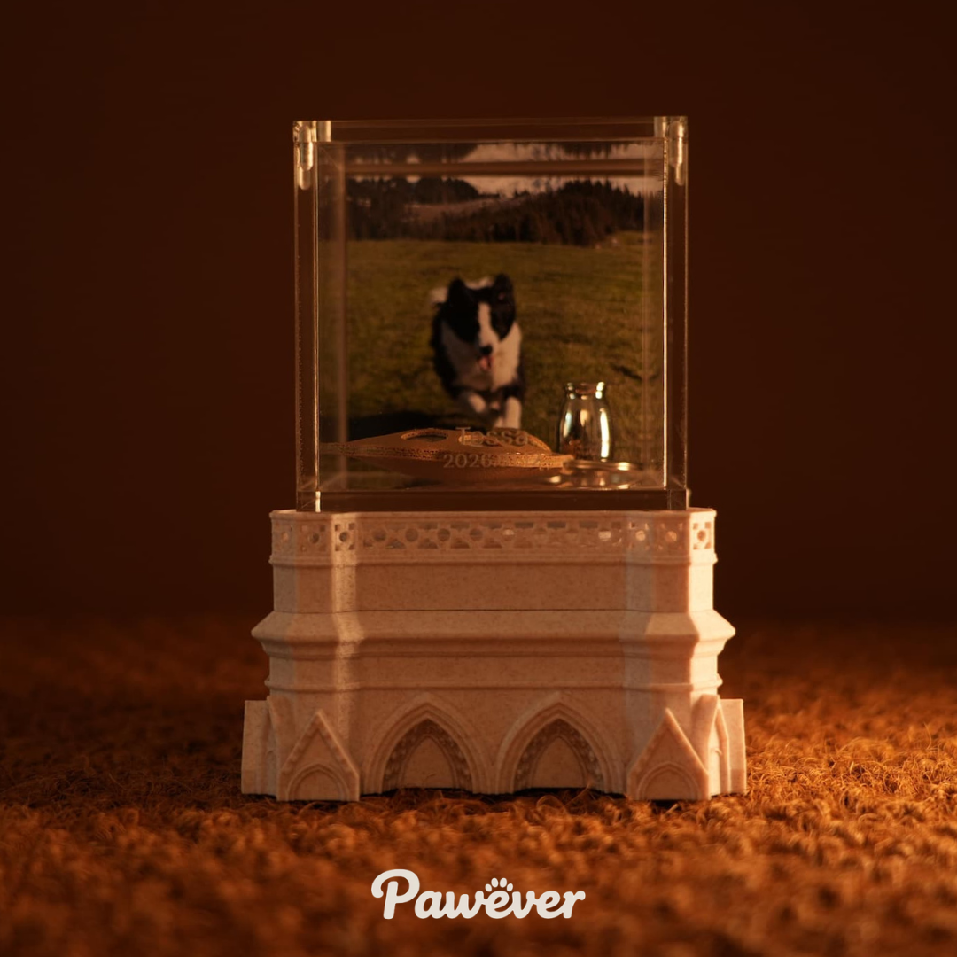 Base du Sanctuaire (Précommande)