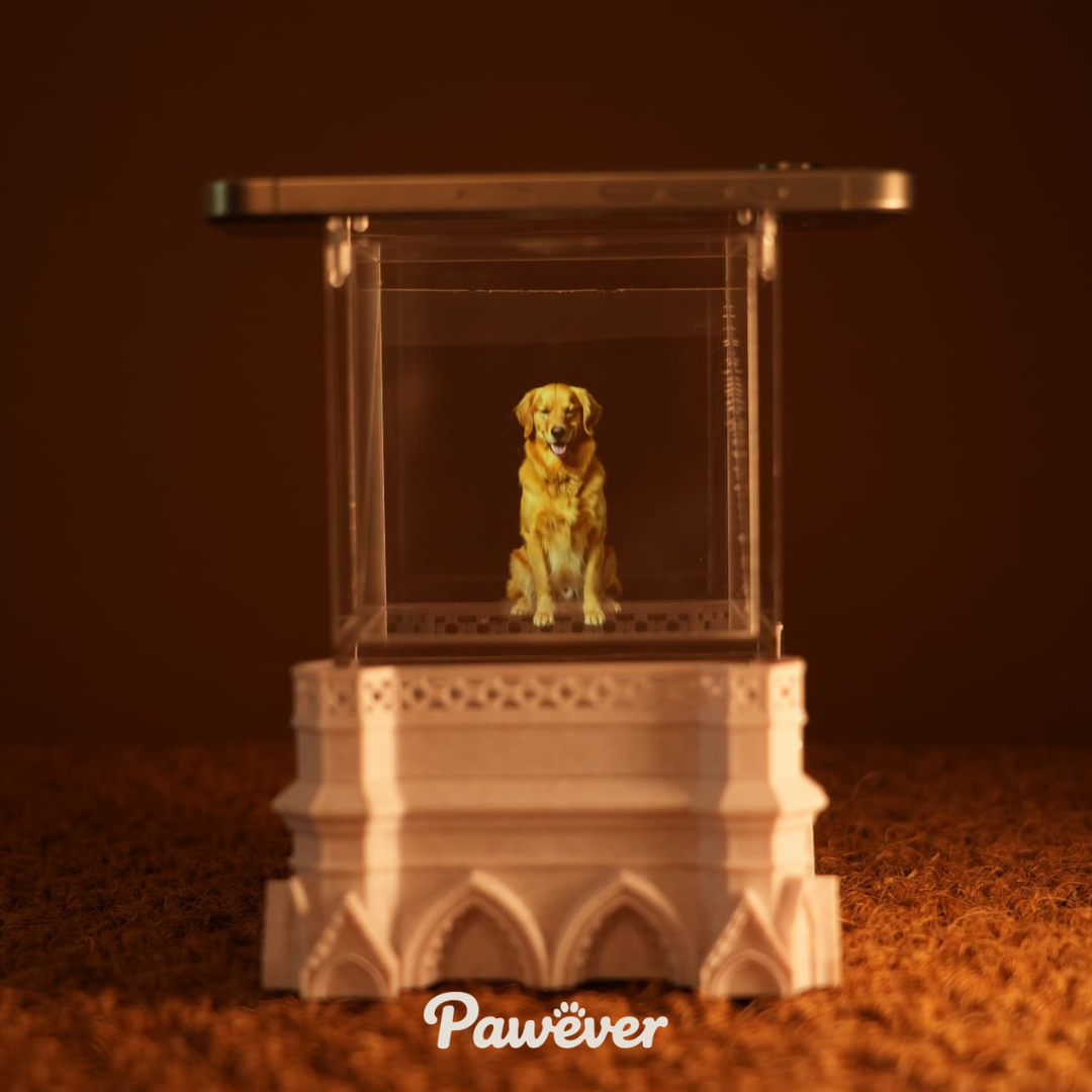 Base du Sanctuaire (Précommande)