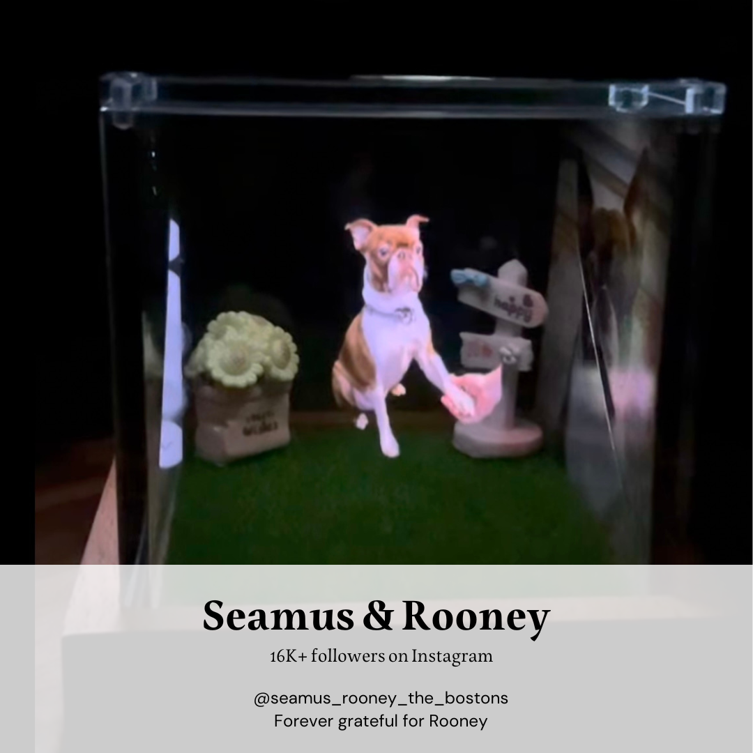 A deeply touching gift