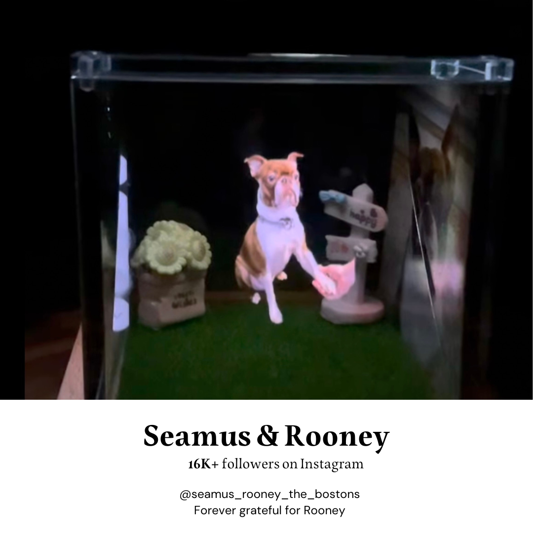 A deeply touching gift