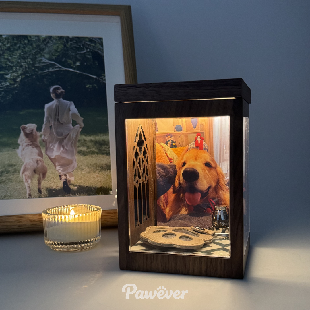 Everwood Memorial Hologram Box