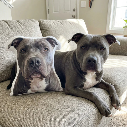 Almohada personalizada para mascotas