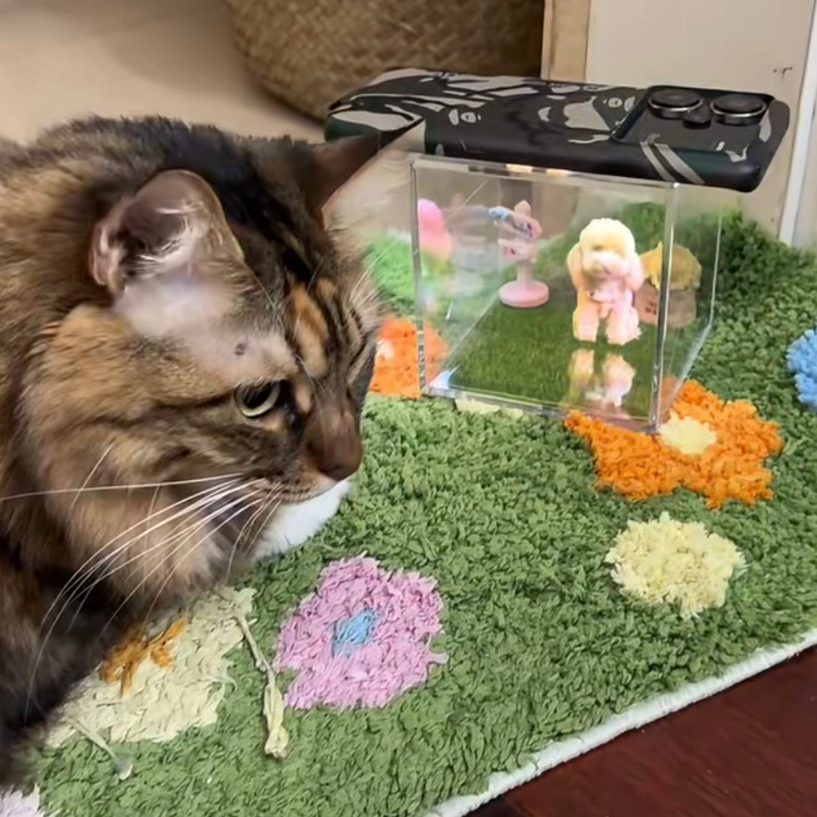 Pet Hologram Projection Box
Pet loss gift
Pet memorial gift
custom dog loss gift 
custom pet gift
Personalised Pet Memorial Gifts 
Gift For pet Lover