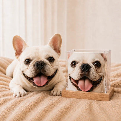 Pawever™ Crystal Box — Pet Hologram Box