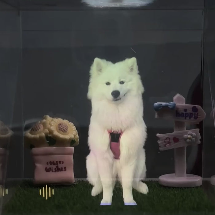 Pet Hologram Projection Box
Pet loss gift
Pet memorial gift
custom dog loss gift 
custom pet gift
Personalised Pet Memorial Gifts 
Gift For pet Lover